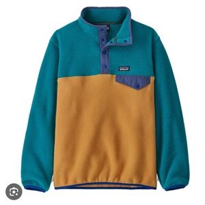 Patagonia Teal and Tan Fleece Pullover